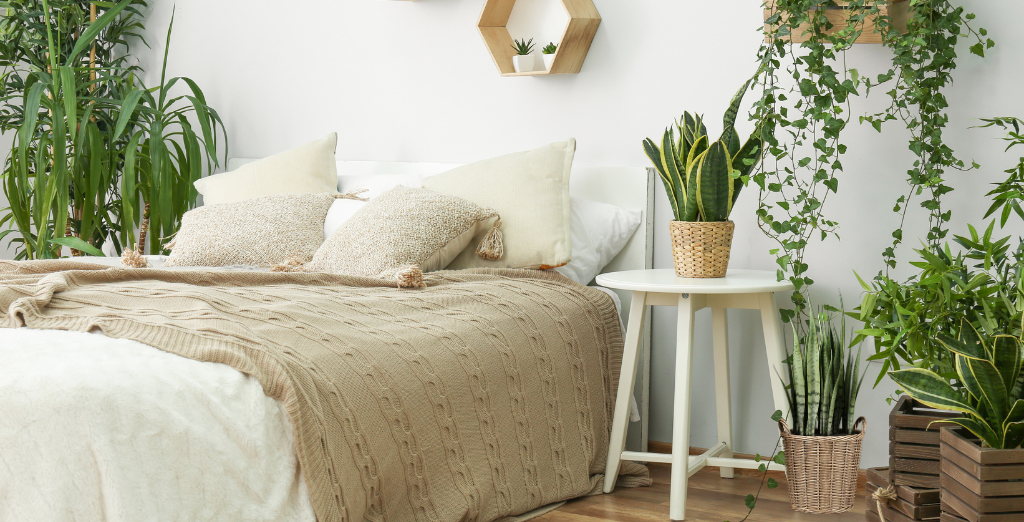 PŘIVEĎME ČISTÝ VZDUCH DO SVÝCH LOŽNIC POMOCÍ ROSTLIN.